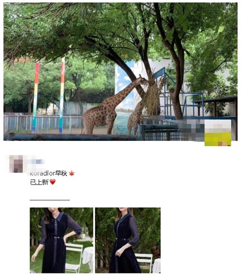 微信pc版朋友圈在哪里
