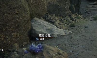 《霍格沃茨之遗》霍克拉普汁获取位置图文攻略一览