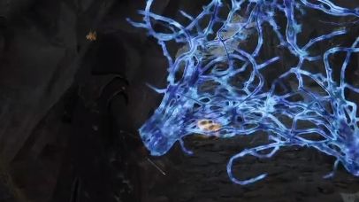 《霍格沃茨之遗》霍克拉普汁获取位置图文攻略一览