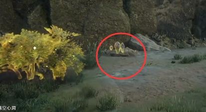 《霍格沃茨之遗》霍克拉普汁获取位置图文攻略一览