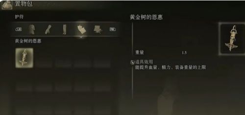 《艾尔登法环》黄金树的恩惠佩戴方法