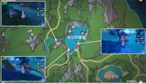 《原神》湖光铃兰分布图及采集路线一览