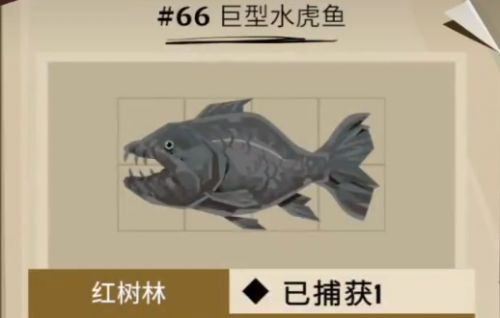《渔帆暗涌》巨型水虎鱼位置最新分享