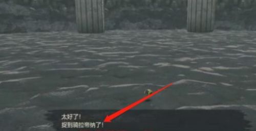《宝可梦传说阿尔宙斯》骑拉帝纳捕捉方法及位置分享