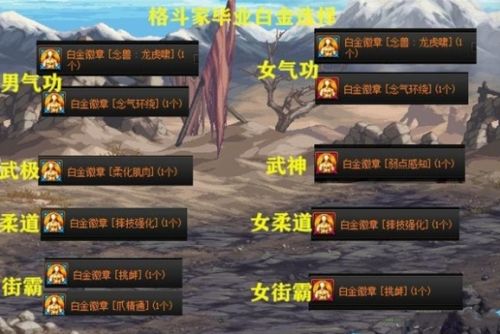 《地下城与勇士》全职业白金徽章选择攻略