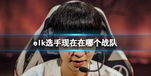 《英雄联盟》elk选手所在战队分享