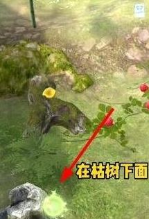 《夺笋高手》全彩蛋位置及获取方法大全