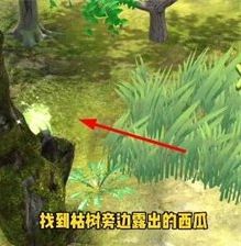 《夺笋高手》全彩蛋位置及获取方法大全