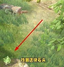 《夺笋高手》全彩蛋位置及获取方法大全