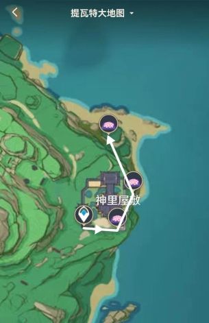 《原神》绯樱绣球分布位置及最佳采集路线一览