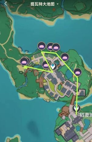 《原神》绯樱绣球分布位置及最佳采集路线一览