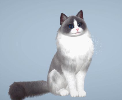 萌宠布偶可爱来袭《剑侠世界3》新萌宠布偶猫上线