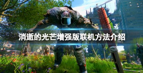 《消逝的光芒》增强版联机方法最新介绍