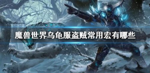 《魔兽世界》乌龟服盗贼常用宏大全2024
