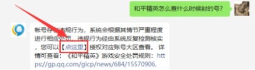 《和平精英》封号查询最新方法分享2024