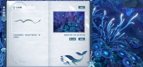 《逆水寒》五彩鳗位置坐标最新介绍2024