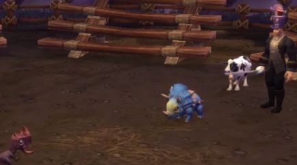 《魔兽世界》暗月马戏团宠物对战通关攻略