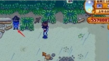《星露谷物语》结婚方法详细介绍