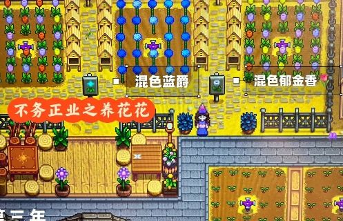 《星露谷物语》夏季亮片栽培方法详细介绍