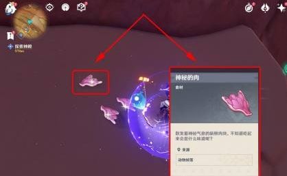 《原神》神秘的肉获取方式介绍