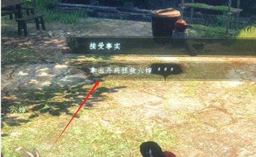 下一站江湖2六婶救治方法