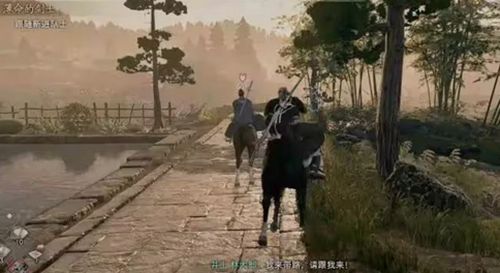 浪人崛起薄命的剑士任务攻略