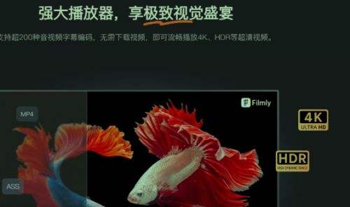 官方正版网易爆米花app下载 最新手机版网易爆米花app下载