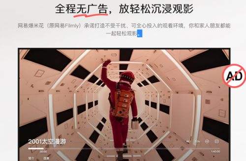 好用的免费视频播放软件推荐 十大视频播放软件app合集